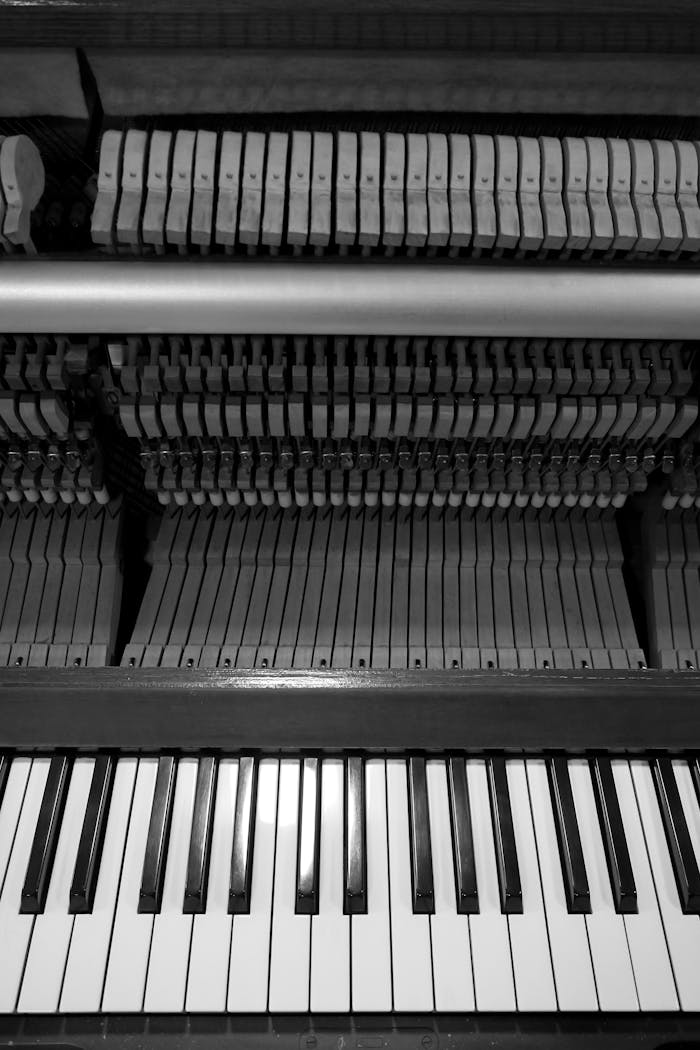 Inicio Black and white image of an upright piano showcasing keys and hammers.