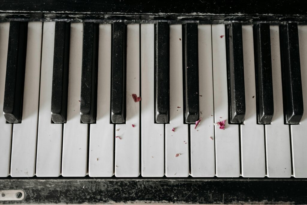 pexels photo 7521185 7521185 A close-up image showing dust and flower petals on piano keys, highlighting contrast and texture.